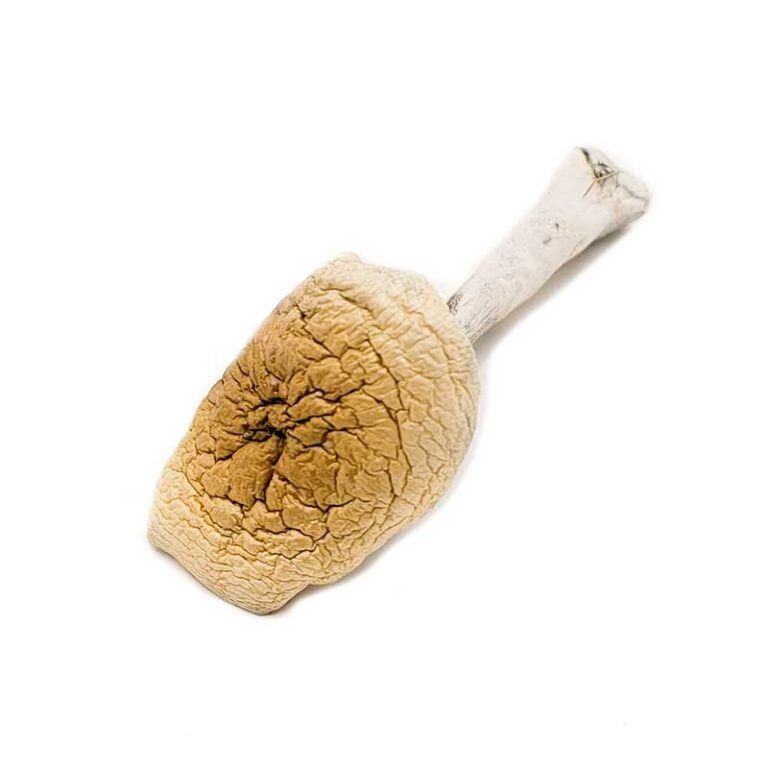B-Magic-Mushrooms-for-sale-768x768